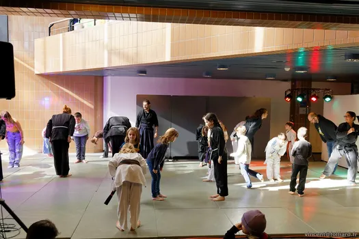 Copyright : Vincent Folliard